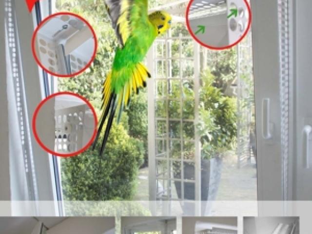 Kippfensterschutz für Vögel, OHNE BOHREN OHNE KLEBEN, System 4 + Welli-Zubehöhr - 1